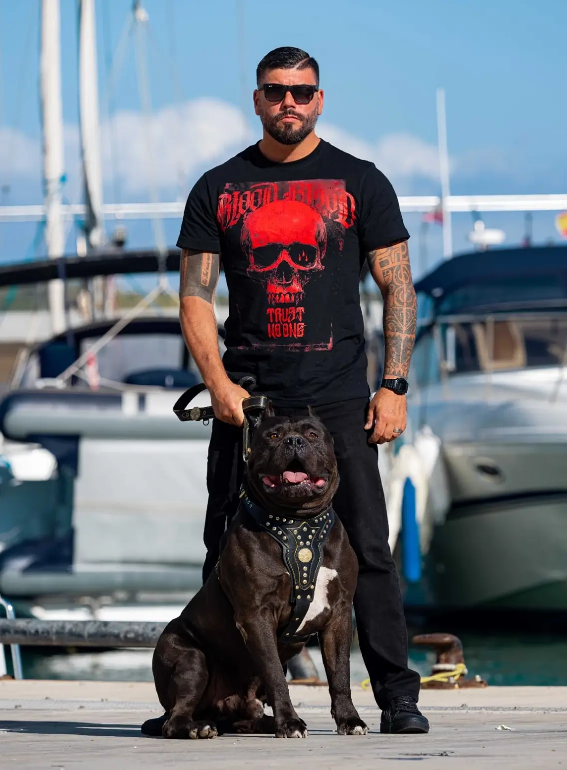 El American Bully y las personas: ¿a quién le conviene un Bully?