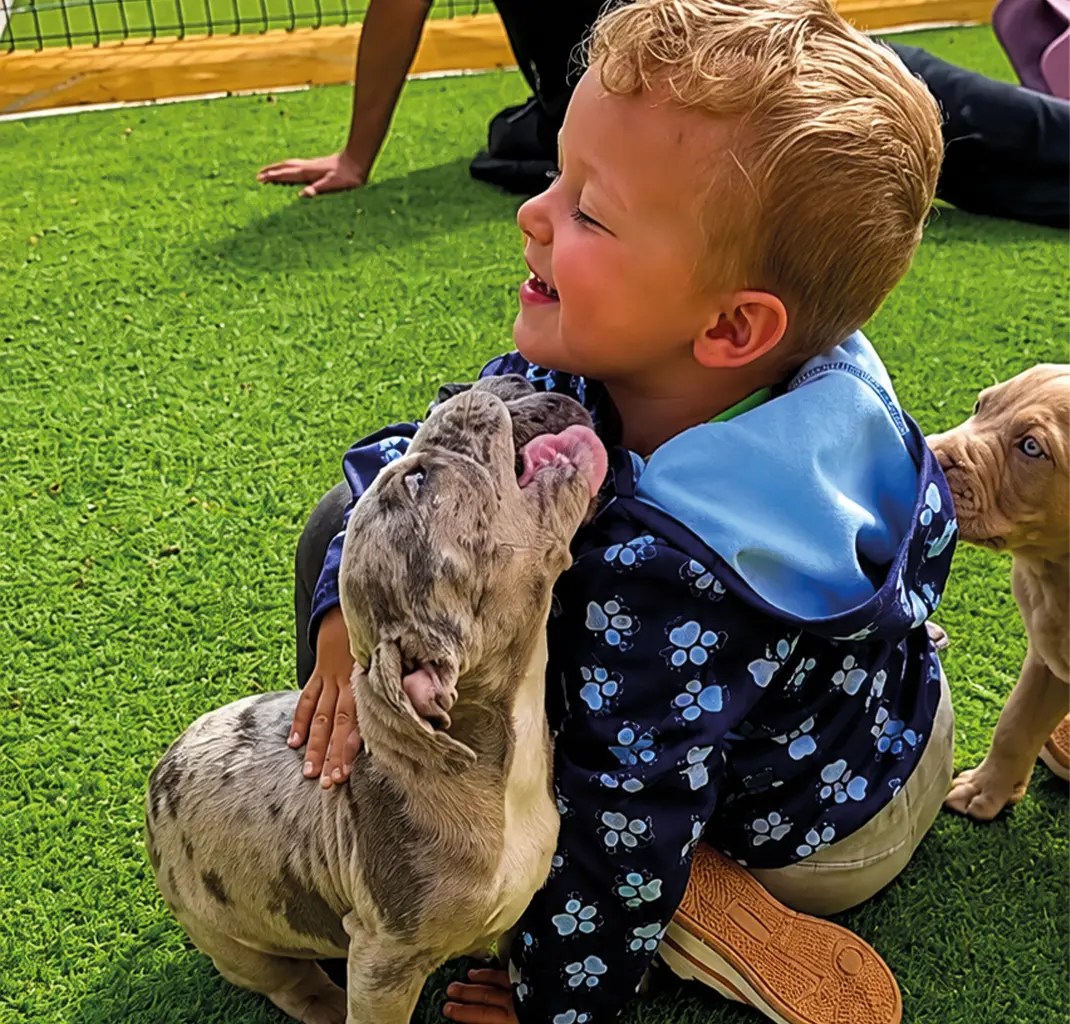 Puppies Get to Know Visitors and Children