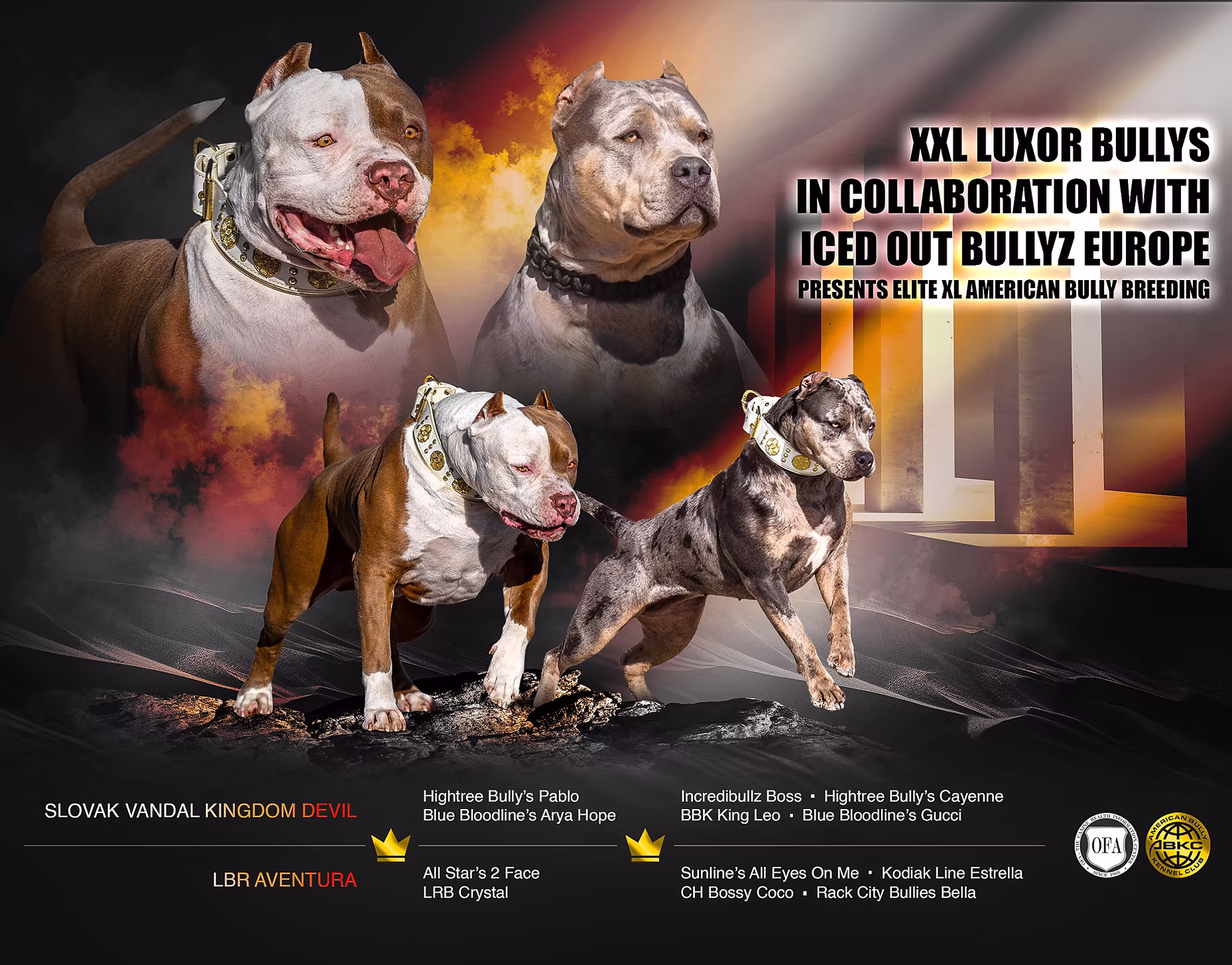 Devil x Aventura XXL American Bully-koppeling