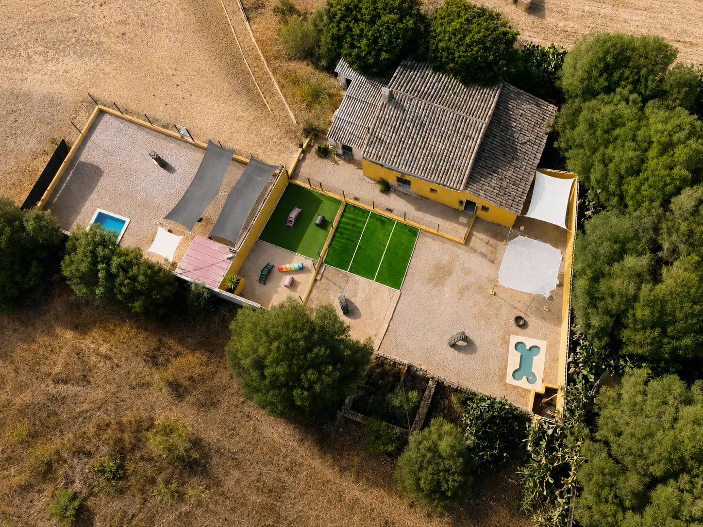 Aerial view of Puppy Paradise by XXL Luxor Bullys