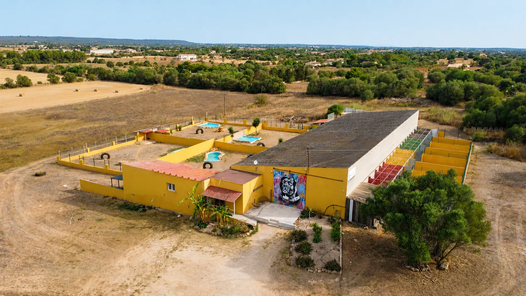 Area di gioco all’aperto e piscina per American Bully XXL a Maiorca