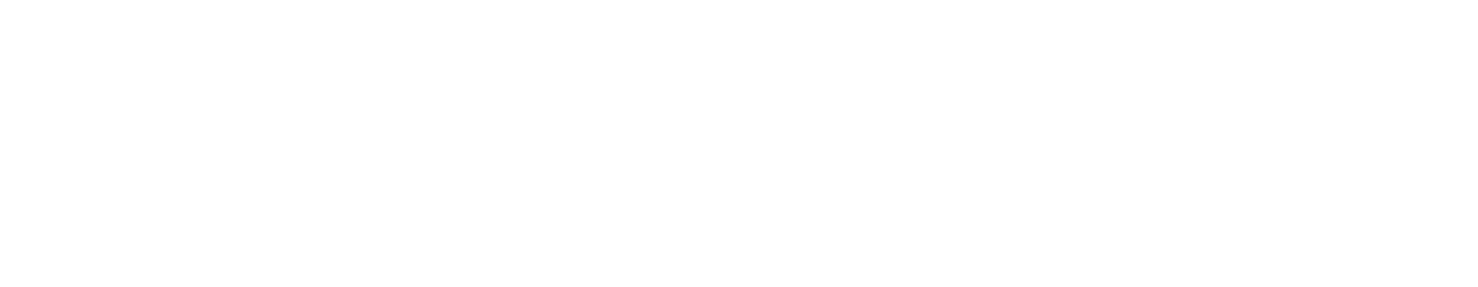 SIRCA Executive