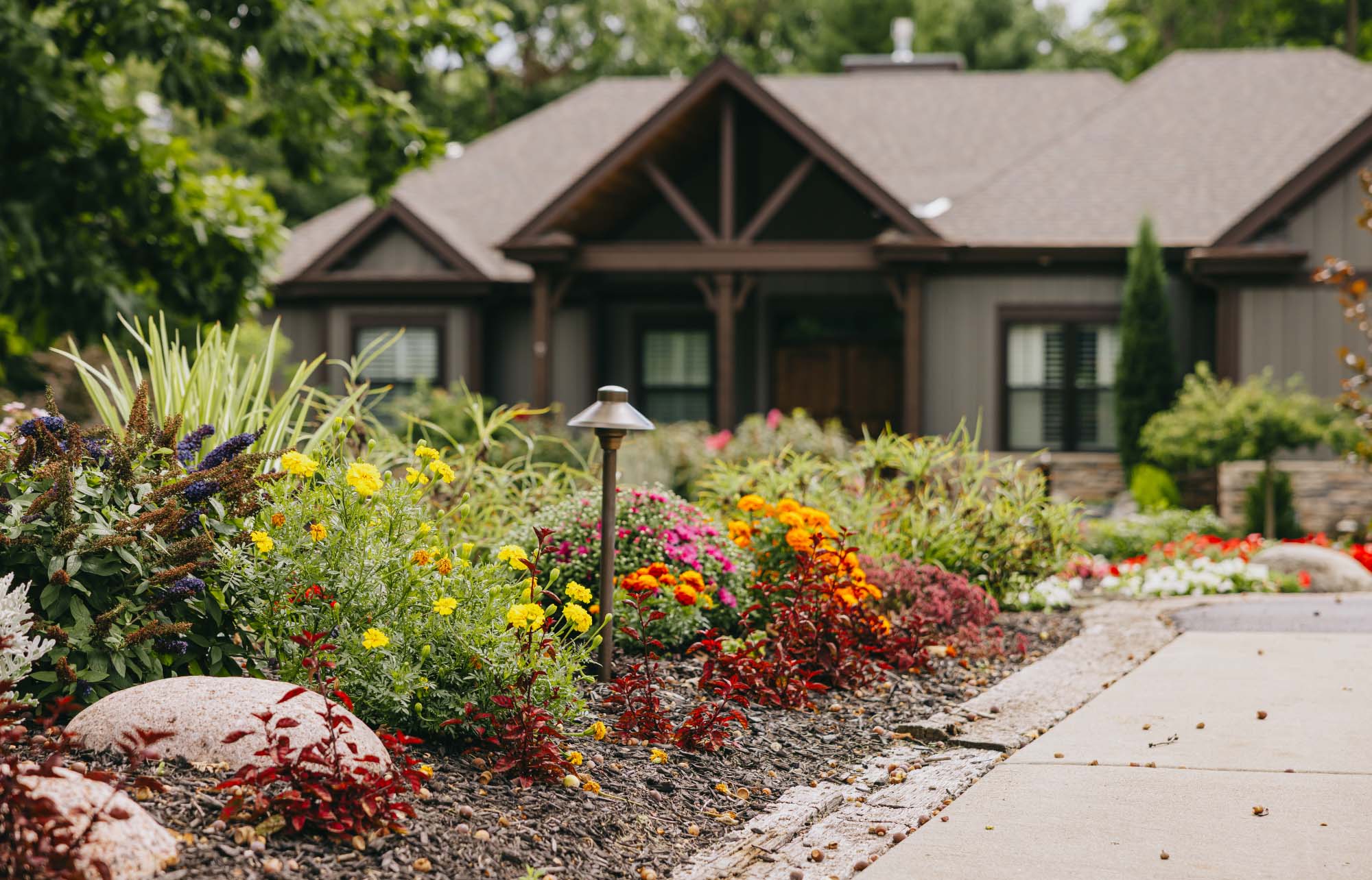 Front yard bed of marigolds, coneflowers and ornamental grasses along a walkway, with a path light and boulder accents.