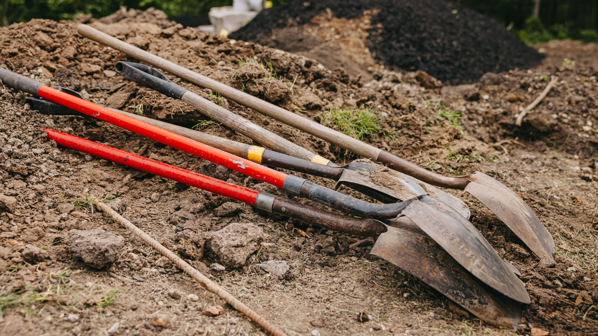 Spades and edging tools laid out on bare soil at the start of a bed renovation.