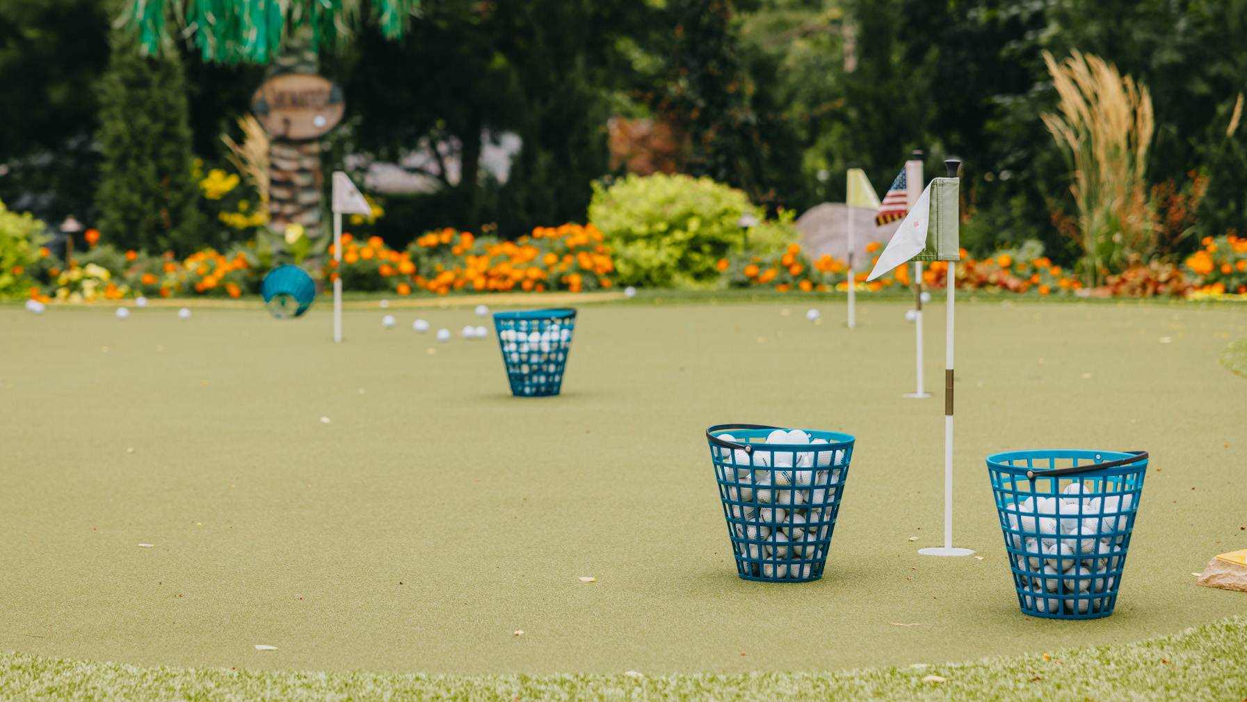 Backyard putting green ringed by colourful perennial beds and mature shrubs.