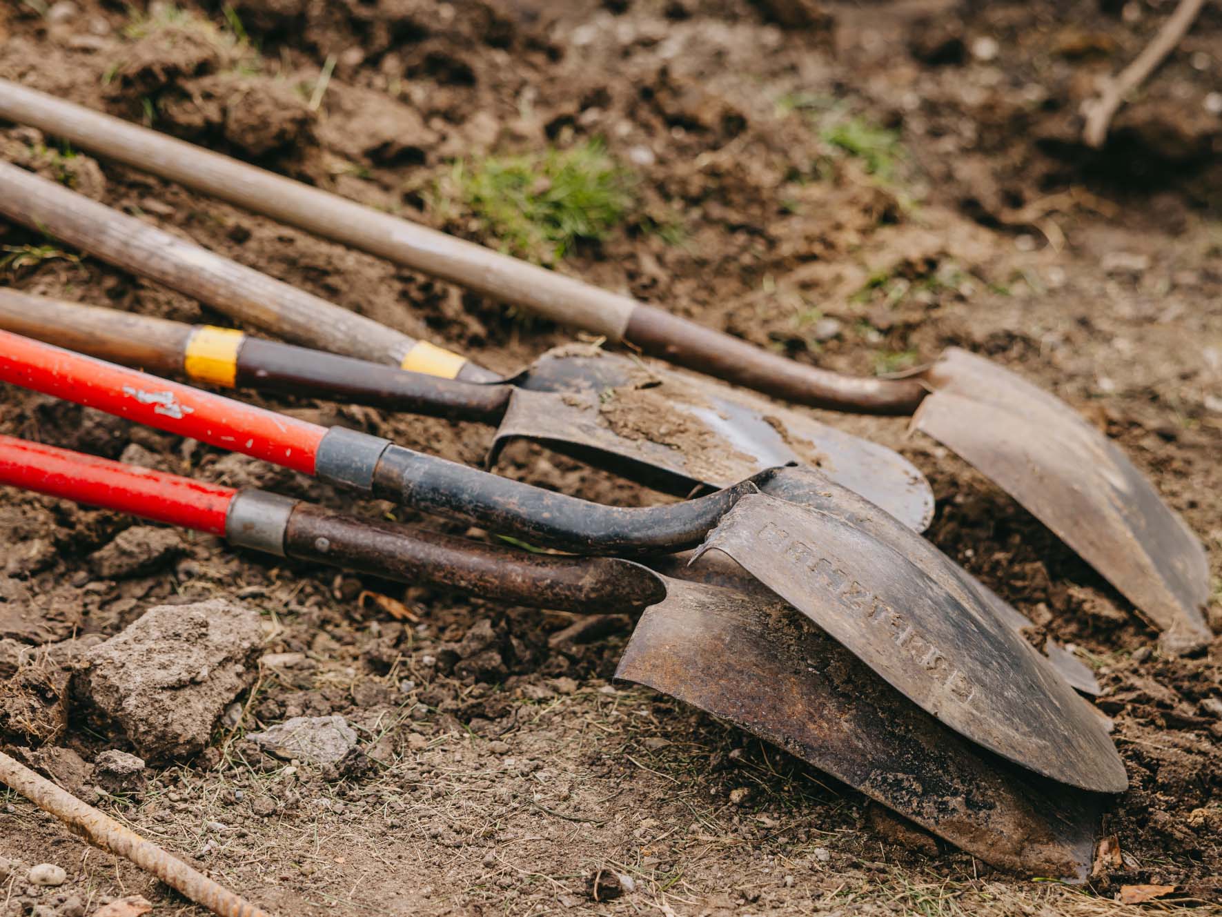 Row of well-used shovels resting in bare soil at the start of a build.