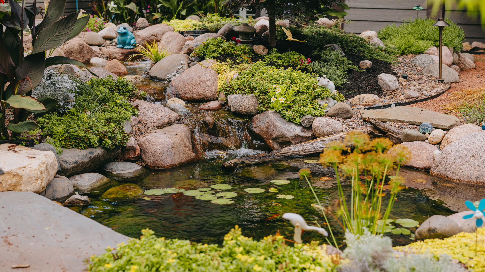 Garden pond with water lilies edged in rock and surrounded by flowering perennials.
