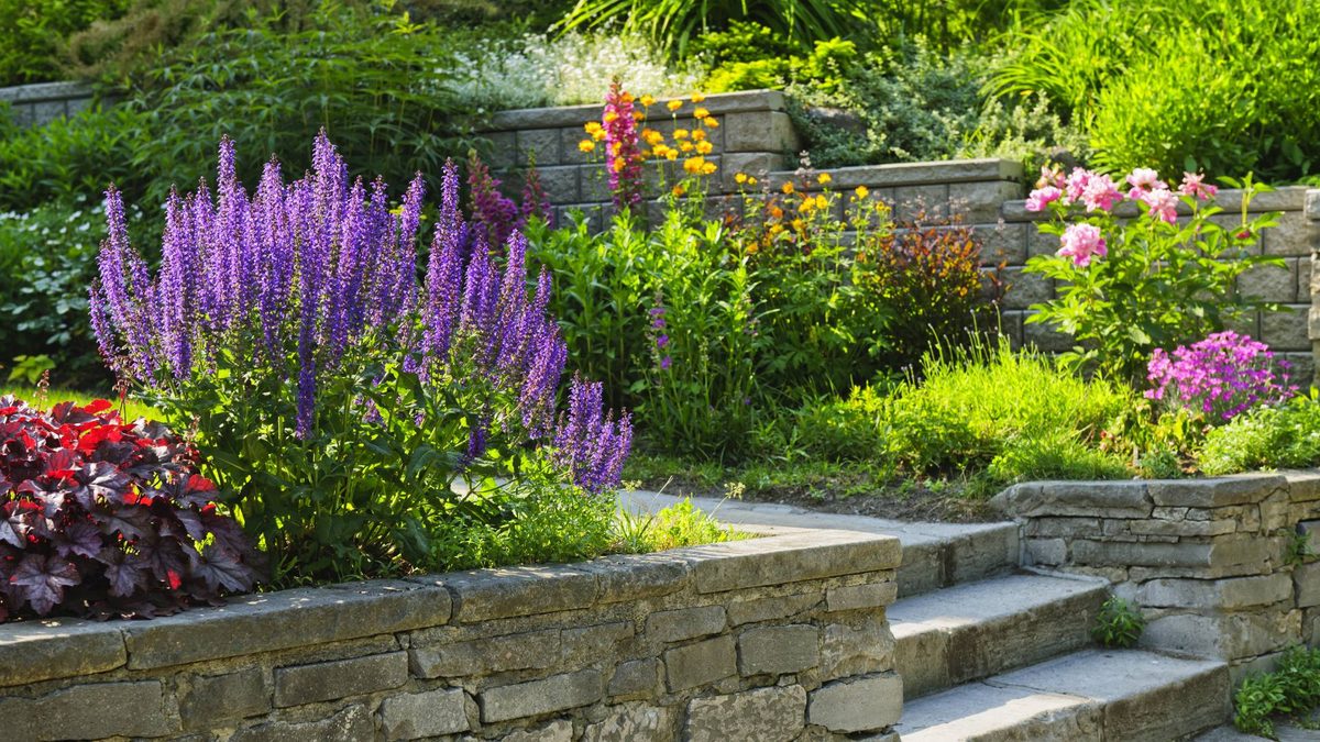 Stone garden steps set into a planted slope, bordered by mixed flowering perennials.
