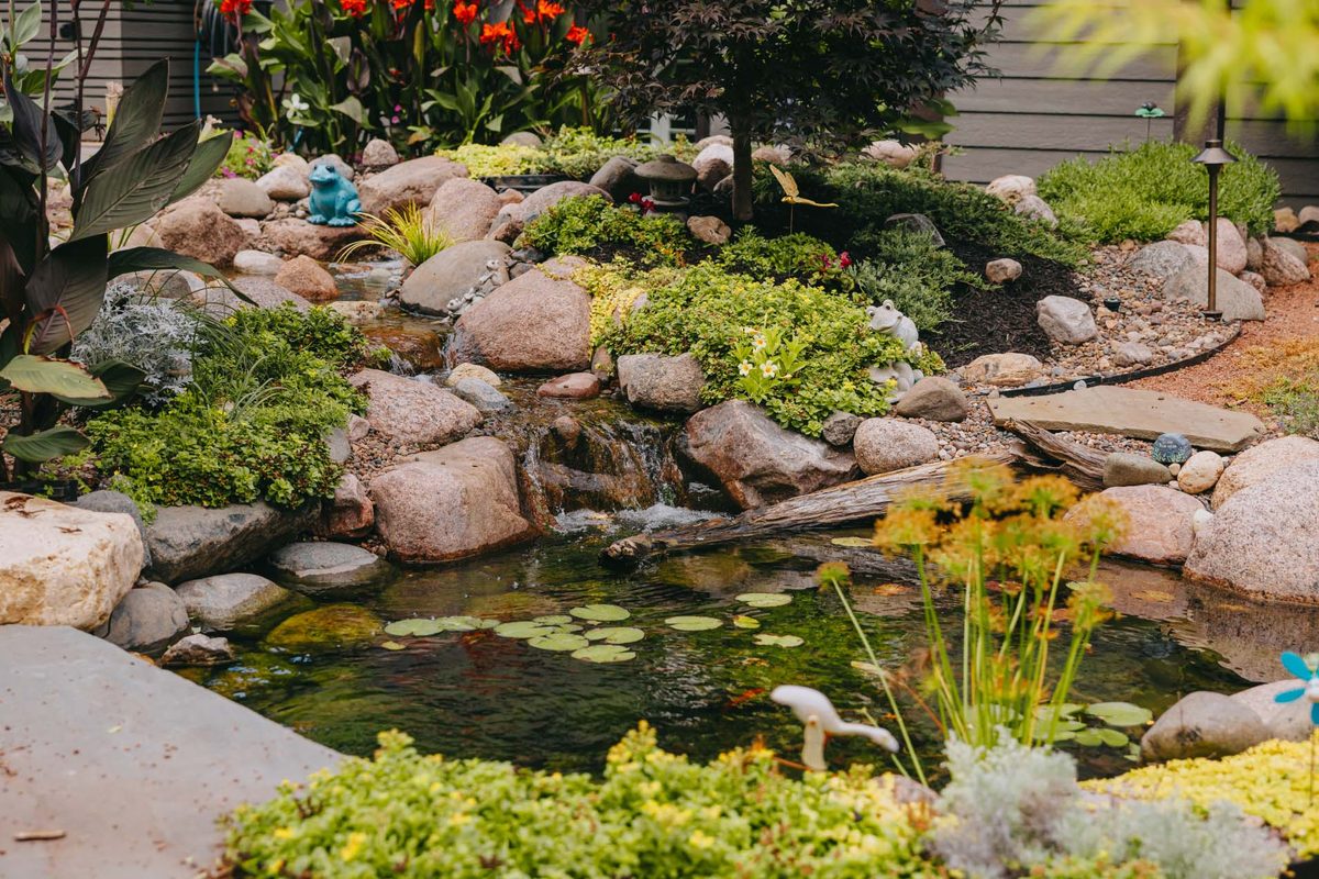 Waterfall pond surrounded by dense greenery and flowering perennials in a back garden.