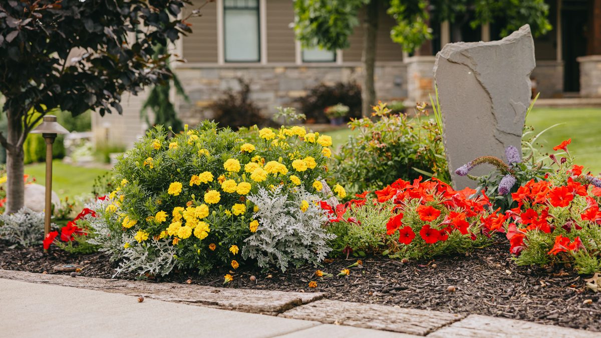 Yellow and red flower bed running along a natural stone garden edge.