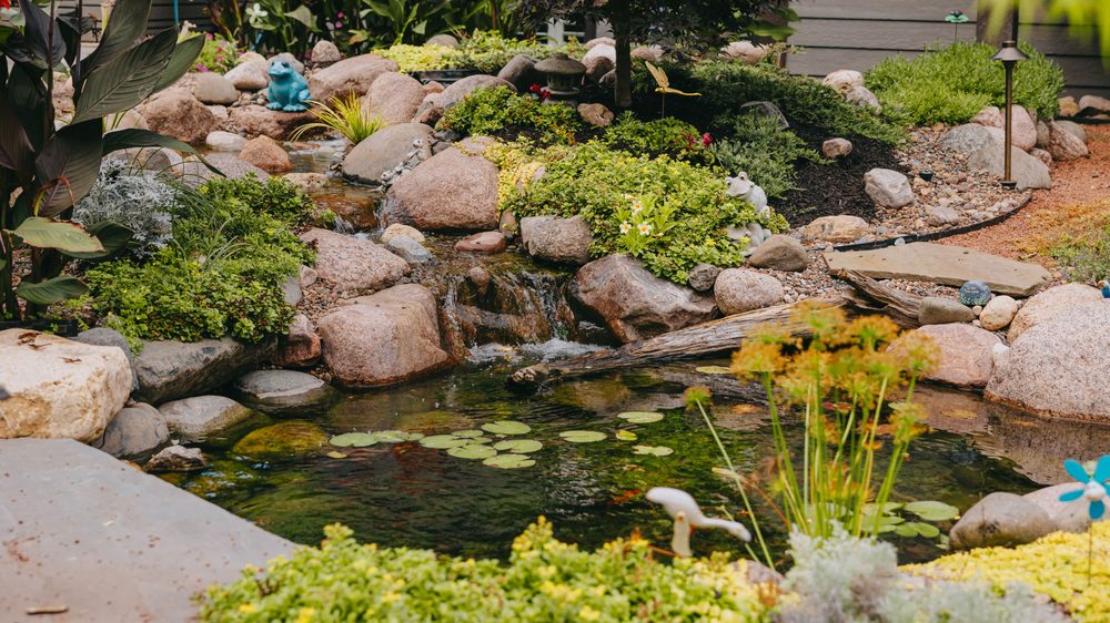 Garden pond with water lilies edged in rock and surrounded by flowering perennials.