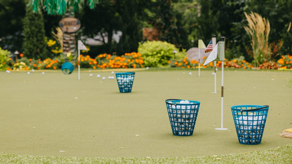 Backyard putting green ringed by colourful perennial beds and mature shrubs.