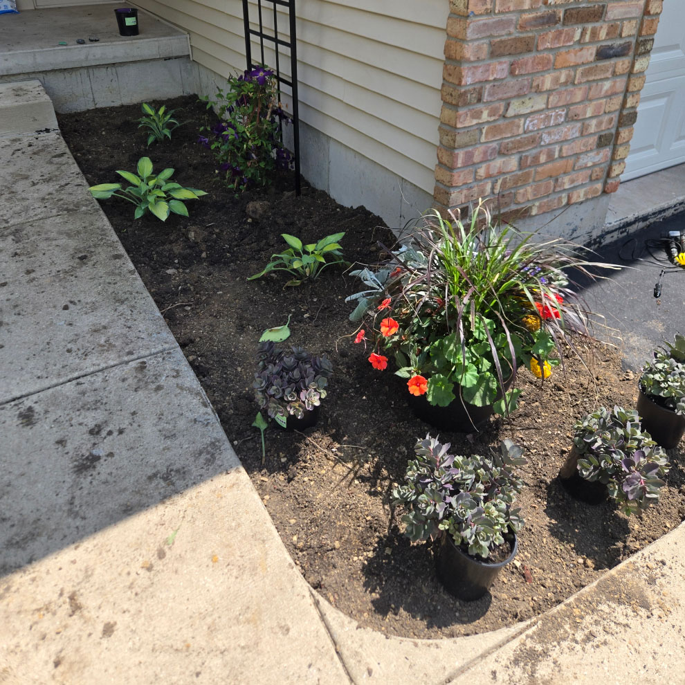 Front entry garden bed with newly placed flowers and plants arranged for installation near a concrete walkway.