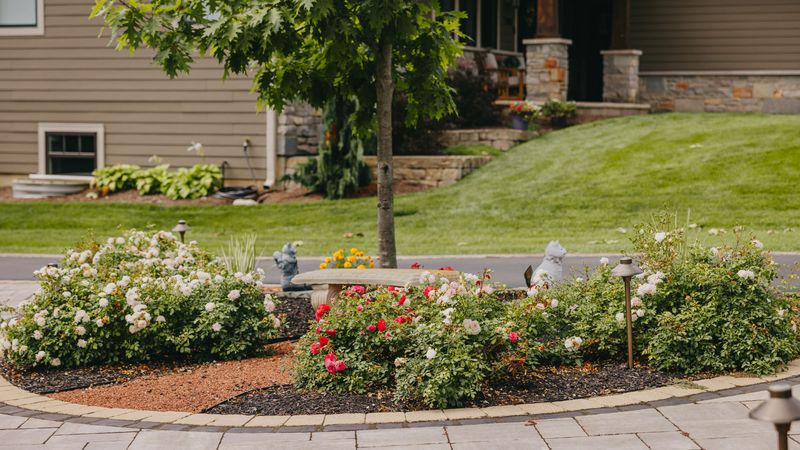 Custom Scapes & Designs flower garden with landscape lighting in autumn showing properly mulched beds heading into winter in the Chicago suburbs.