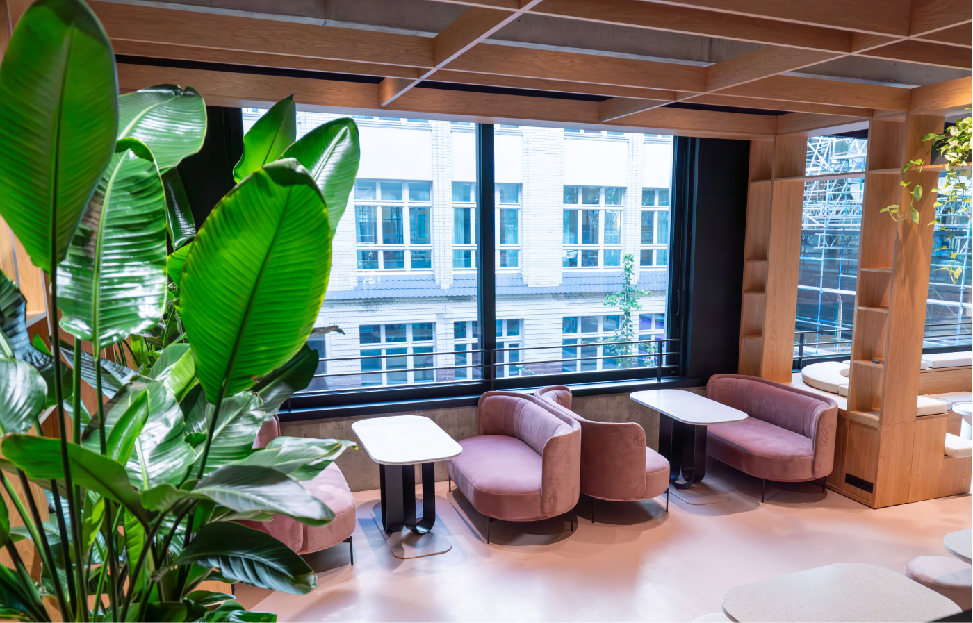 Modern coworking space with large windows overlooking a building, featuring pink velvet sofas arranged with white tables and wooden shelving units, and large green leafy plants in the foreground.