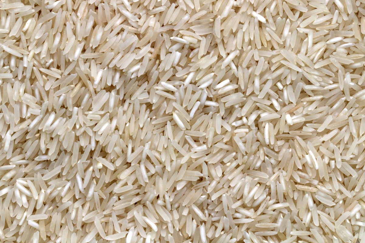 White basmati rice grains