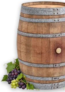 Iron-hooped oak barrel with red and white grapes, illustrating wine ageing at the Vino Storia wine museum in Colmar