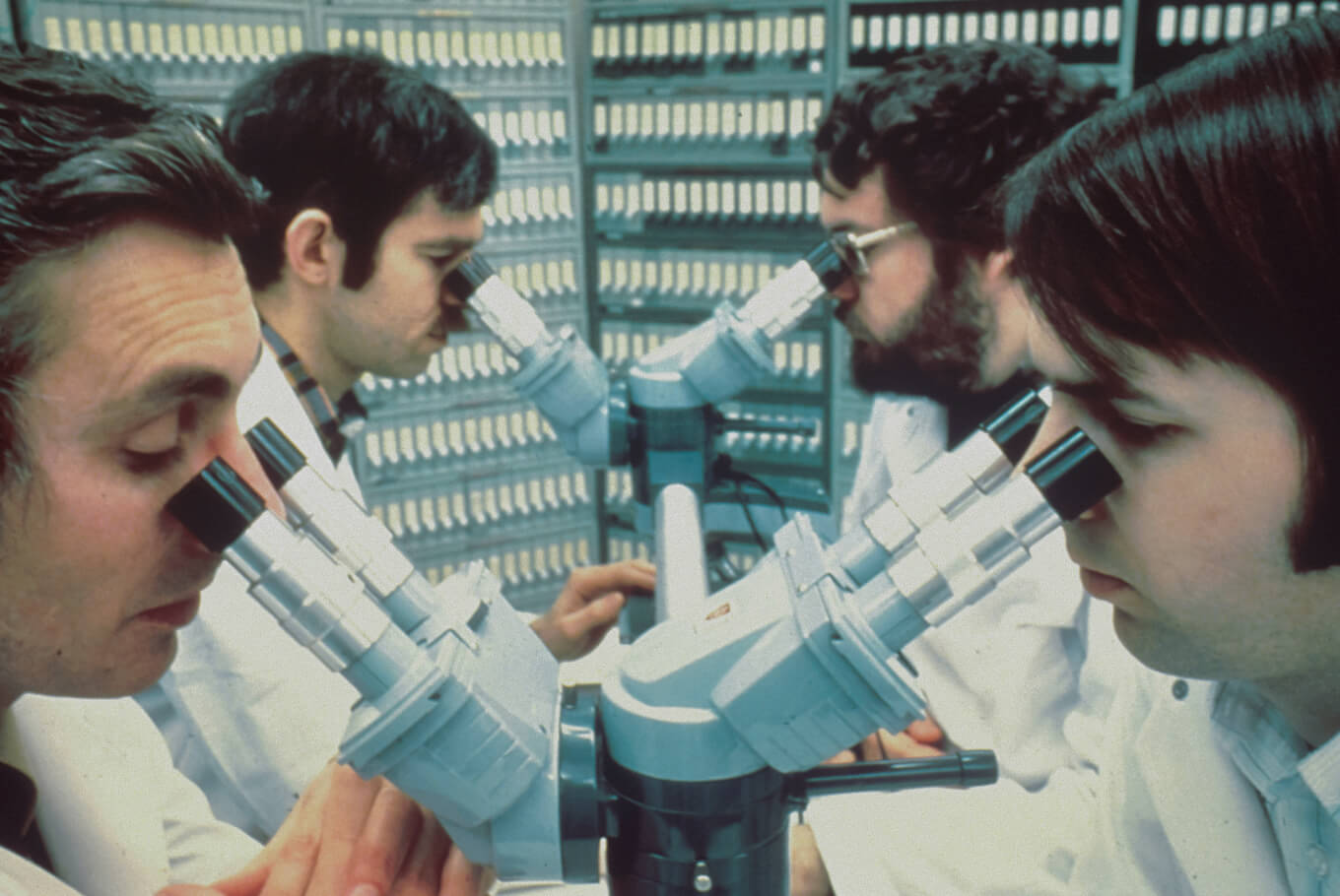 Examining DLP platforms under microscopes.