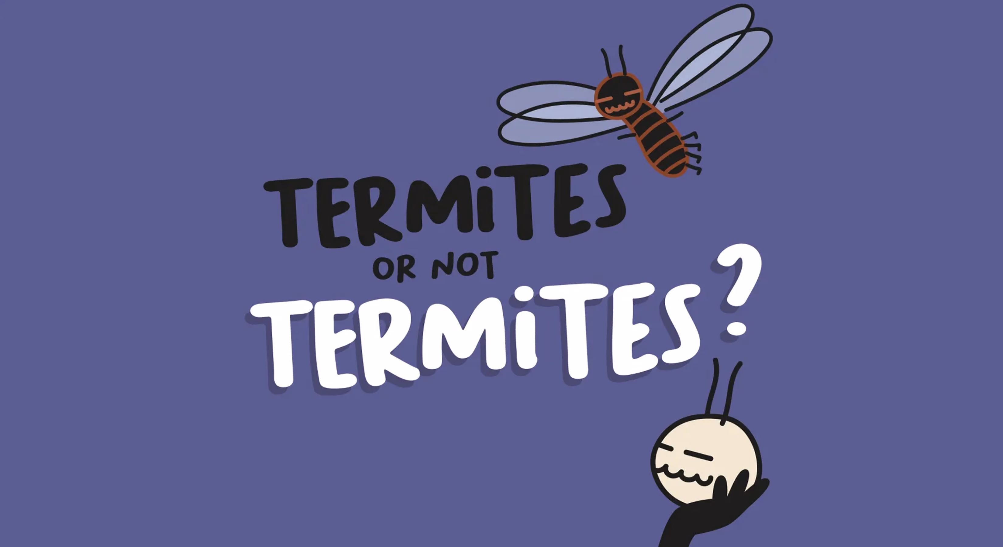 Titre « Termites or not termites ? » illustré d'un insecte ailé sur fond violet