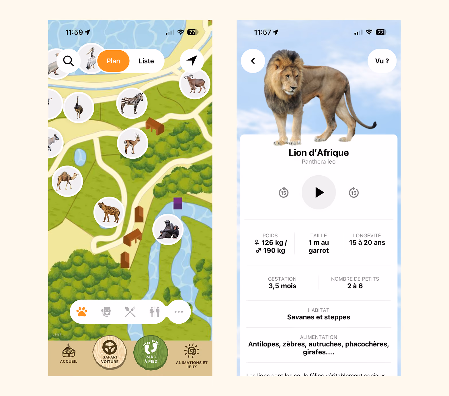 Deux écrans de l'application : plan du parc et fiche « Lion d'Afrique »