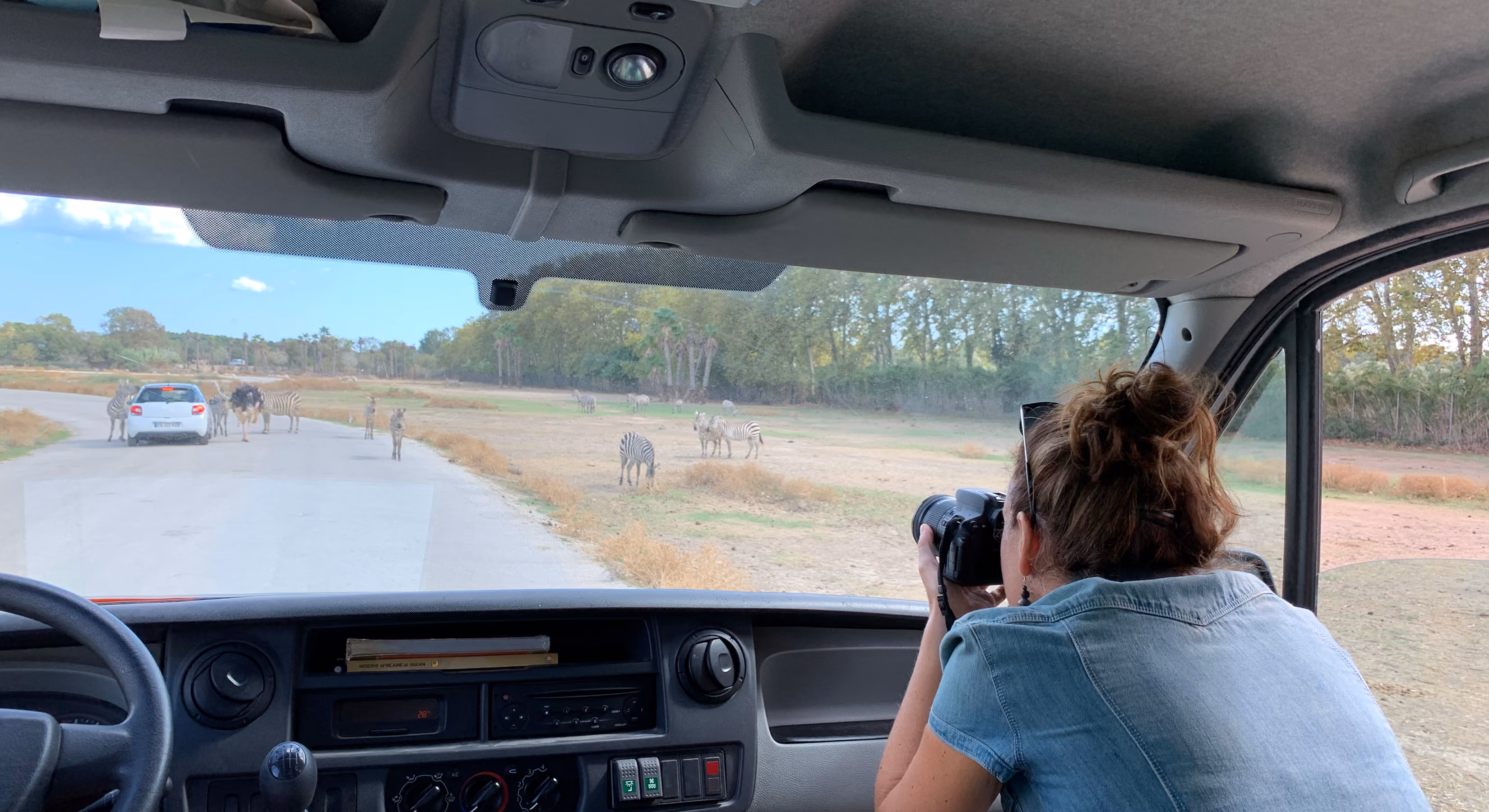 Passagère photographiant la réserve depuis un véhicule