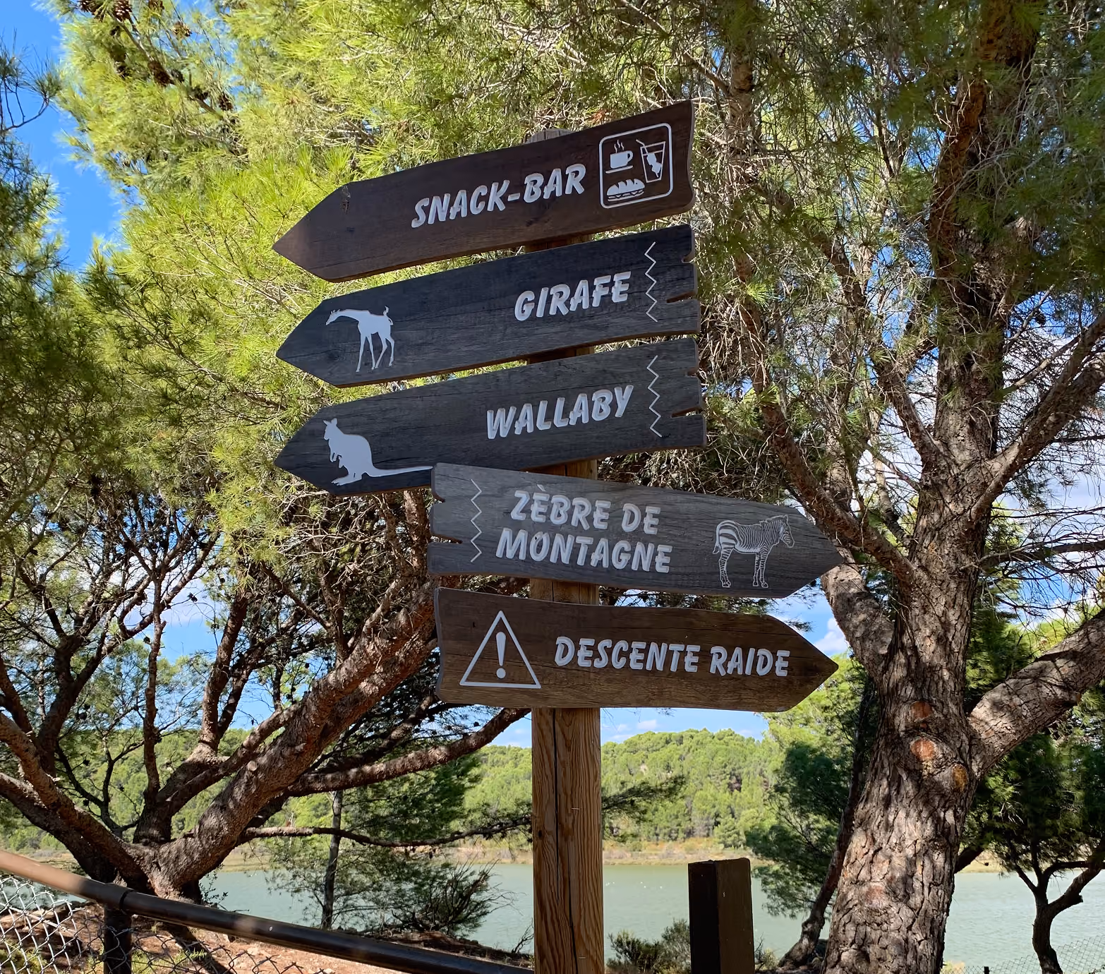 Poteau indicateur « Snack-bar, Girafe, Wallaby, Zèbre de montagne, Descente raide »