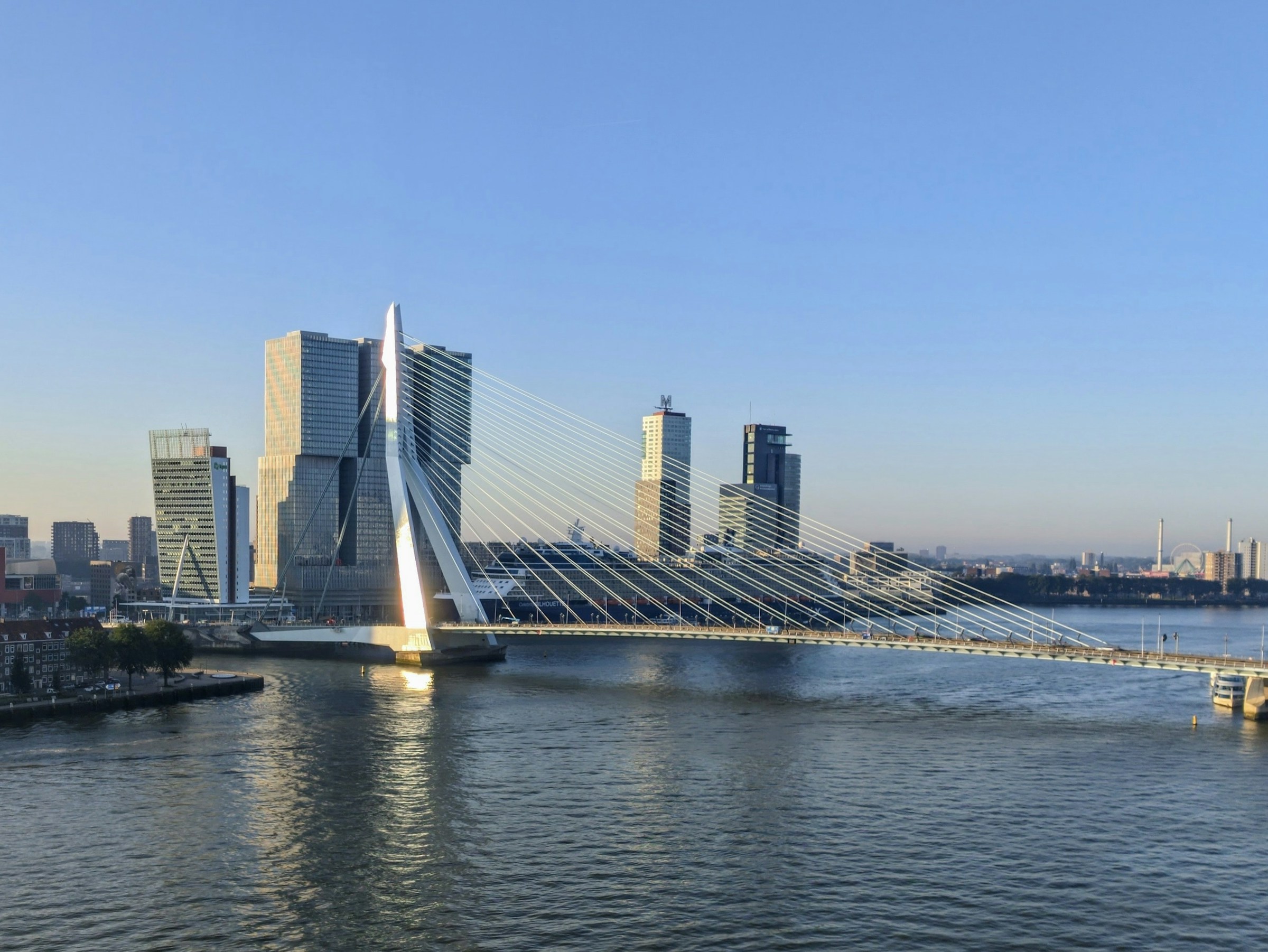 The Erasmusbrug and the Rotterdam skyline seen across the Nieuwe Maas