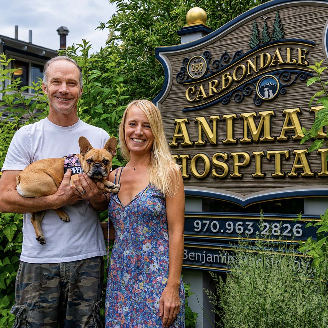 Brand video for Carbondale Animal Hospital in Carbondale Colorado — produced through VID's ViziSites white label partnership to introduce Dr. Benjamin Mackin and the multi-doctor practice team, communicate the four-decade tradition of compassionate and adv