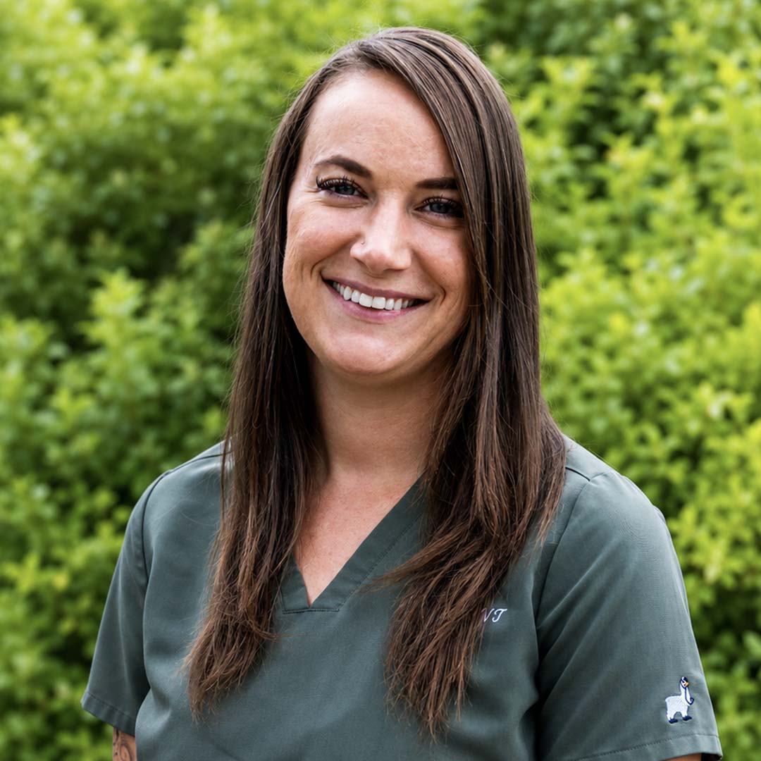 Brand video for Carbondale Animal Hospital in Carbondale Colorado — produced through VID's ViziSites white label partnership to introduce Dr. Benjamin Mackin and the multi-doctor practice team, communicate the four-decade tradition of compassionate.
