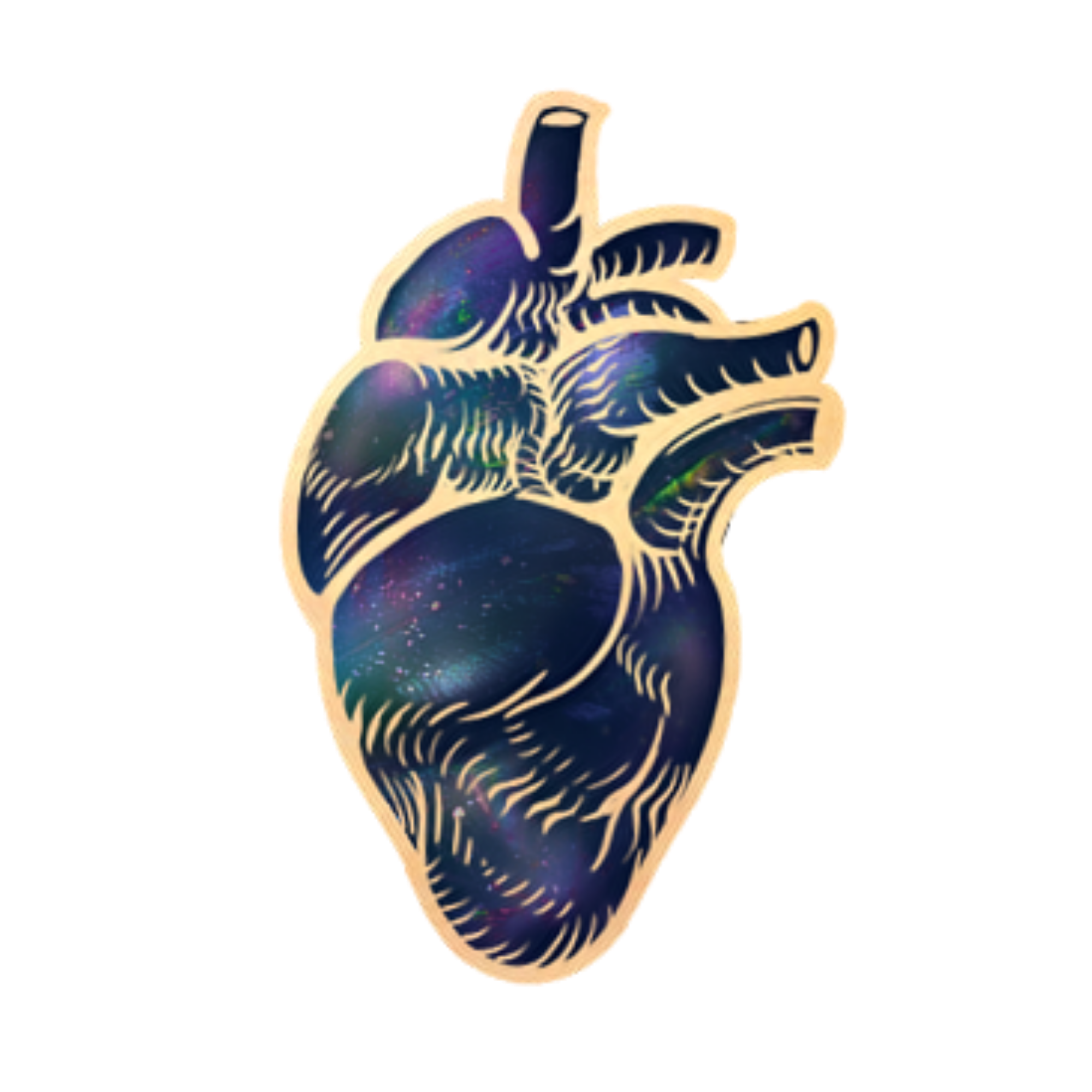 An illustration of a heart