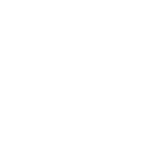 Fast and reliable delivery icon