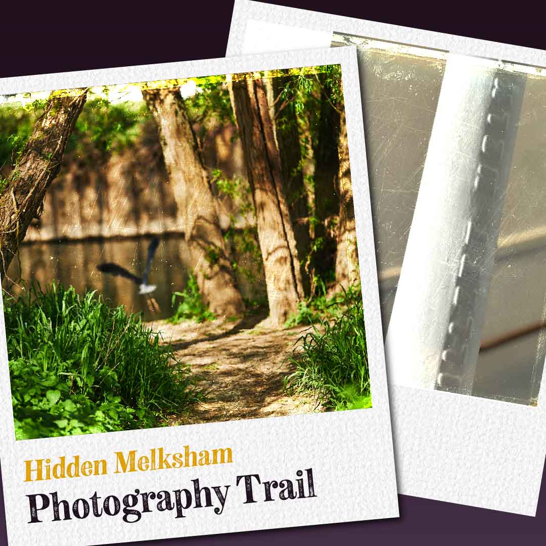 Two polaroids showing Riverside Walk, with a flying bird out of focus, and engraved pillars in Melksham Town Hall
