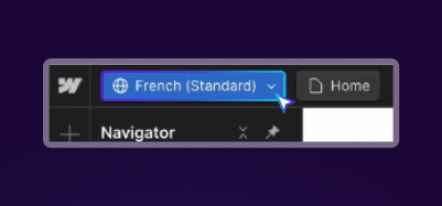 Switching languages in Webflow