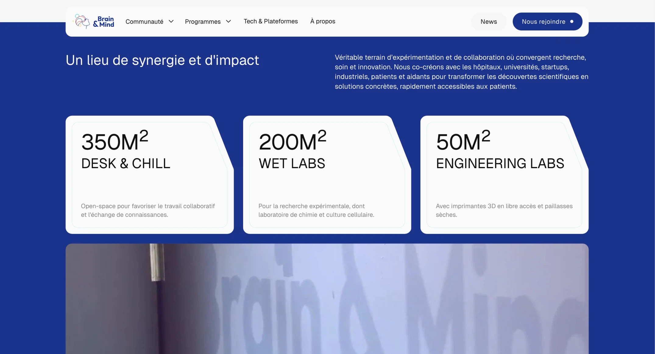 Autre section du site Brain & Mind