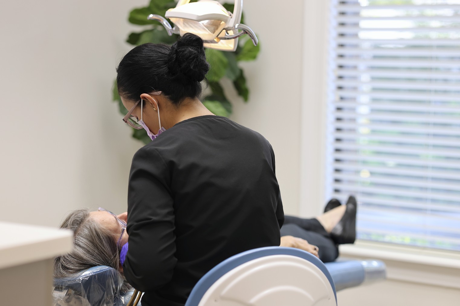 cosmetic dentist north tampa