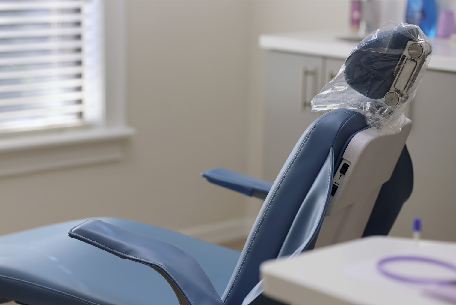 dentist south tampa