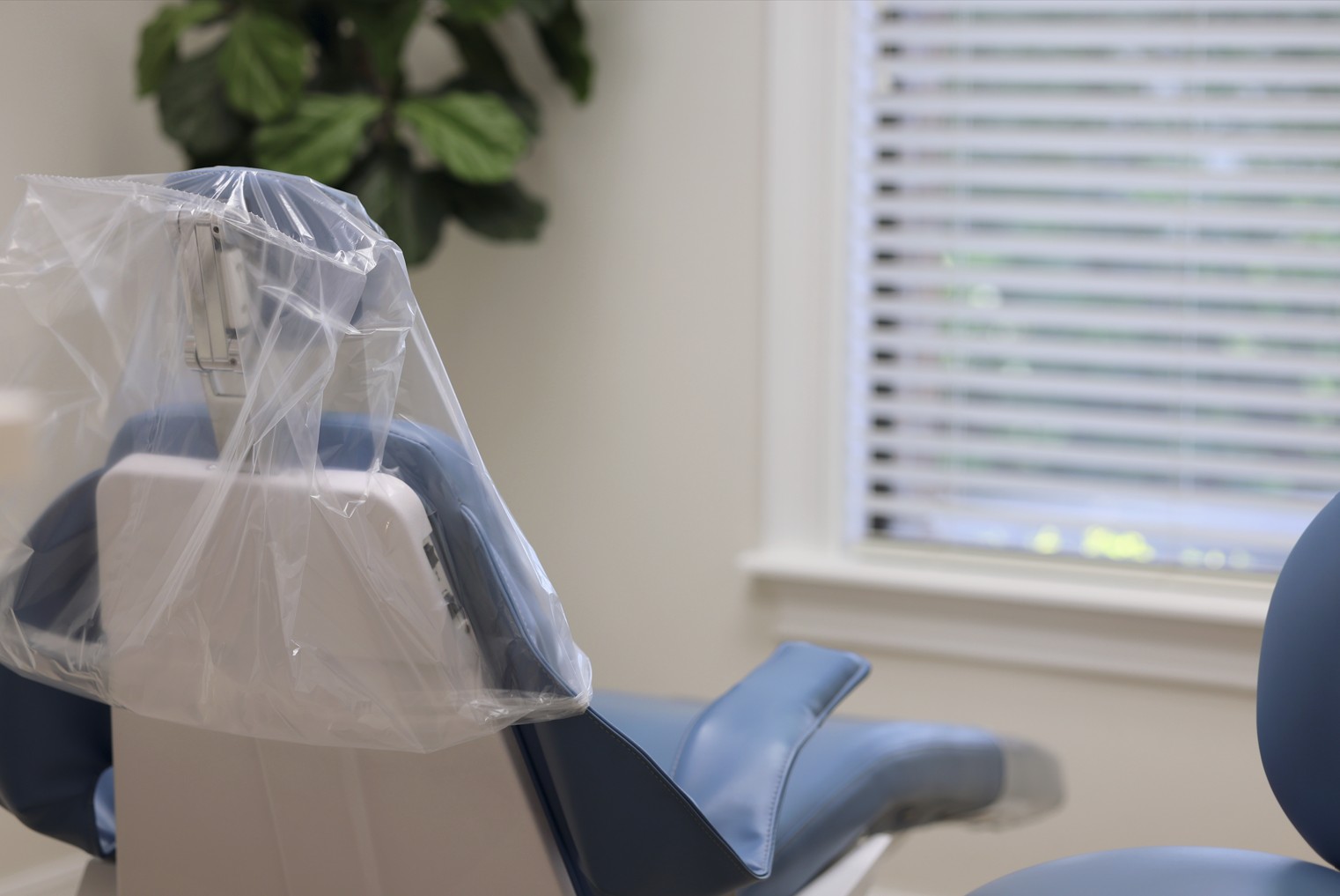 dentist north tampa