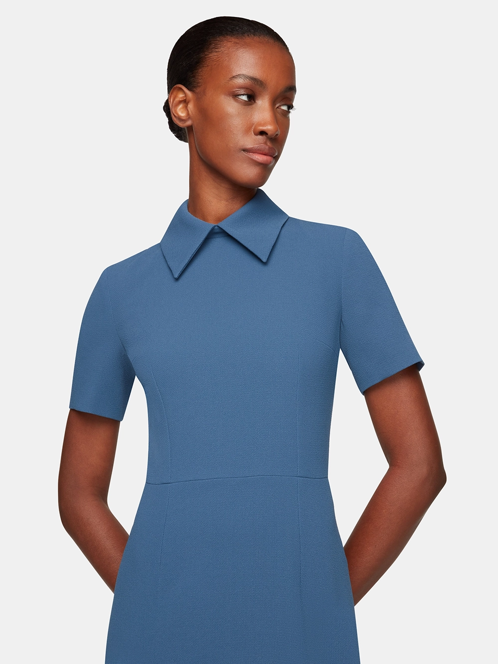 Woman with dark hair in a bun wearing a short-sleeve blue Emilia Wickstead dress with a wide collar.