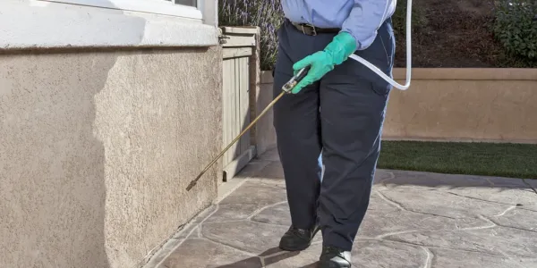 Perimeter Pest Control