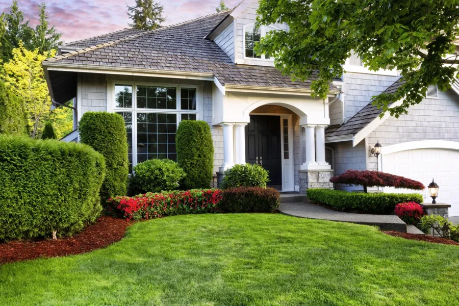 Tree and Shrub Care