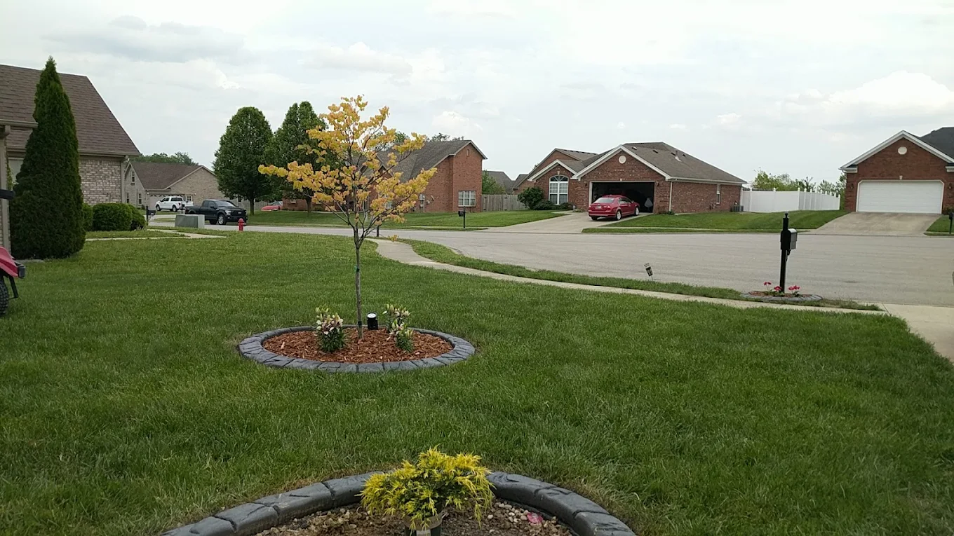 Perimeter Pest Control 101: Keeping Ants, Spiders, and Other Pests Out of Your Home