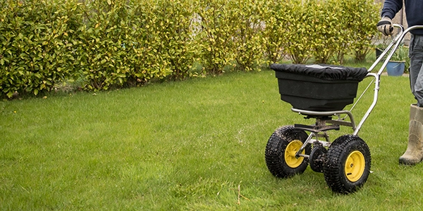 Fall Lawn Care Tips