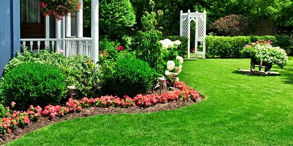 Lawn Cure's Summer Lawn Tips!