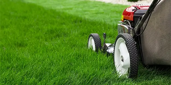 Summer Mowing Tips