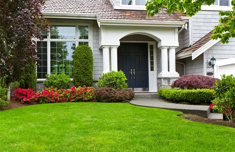 Why Is My Lawn So Stressed?