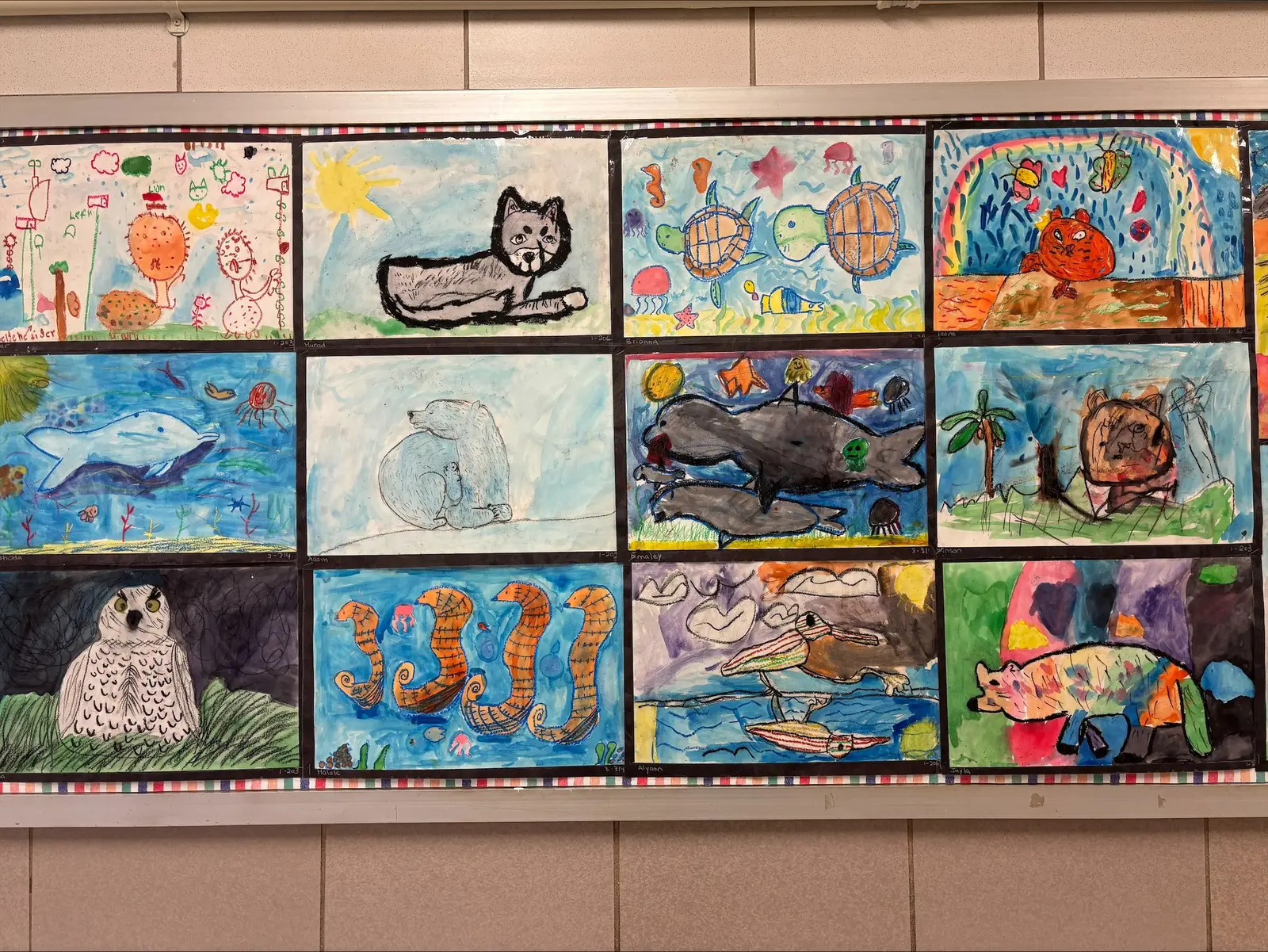 Student animal artwork displayed on classroom bulletin board