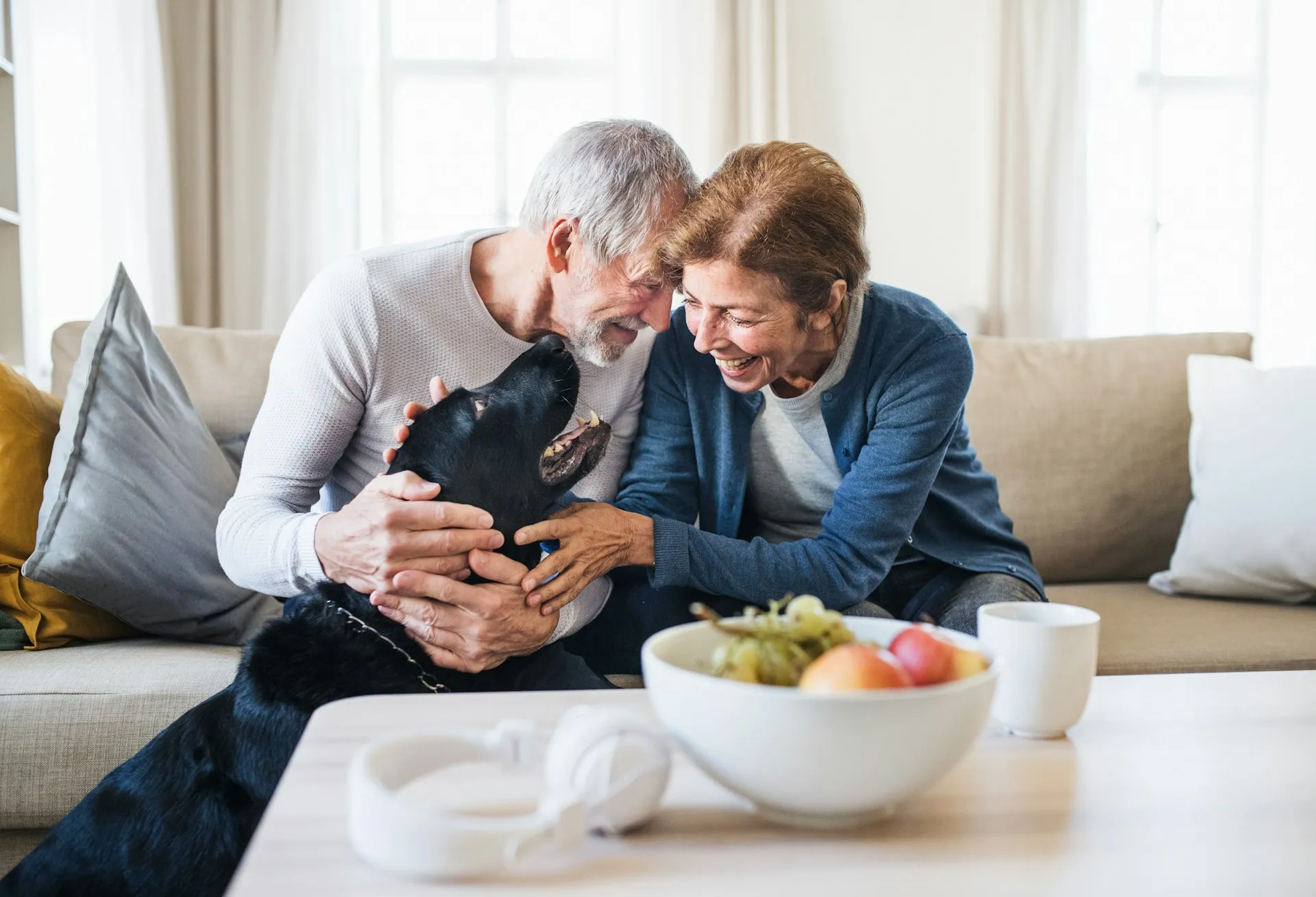 A professional reviewing retirement planning materials, representing the comprehensive guidance Sears Group provides.