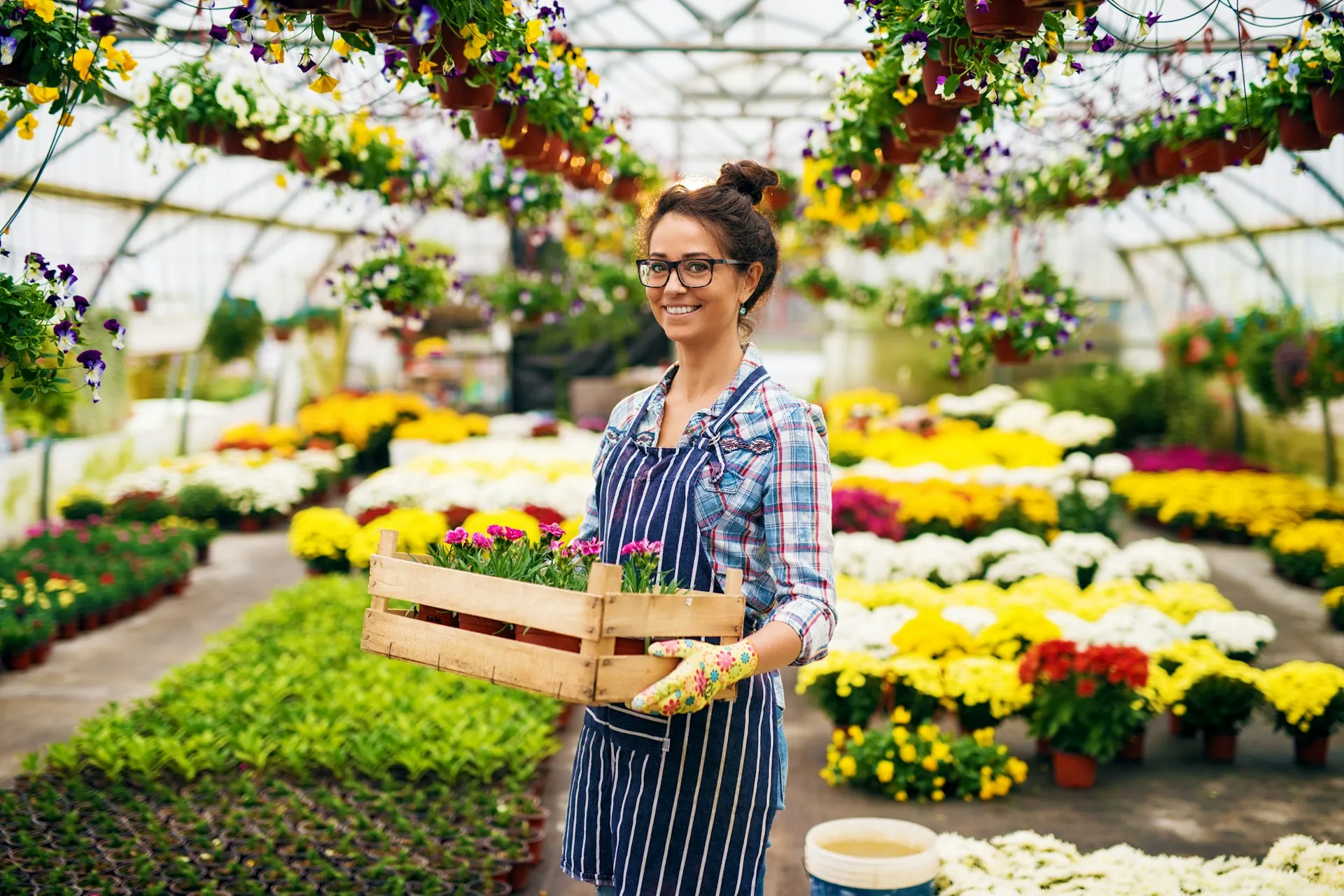 A garden shop owner tending to plants, representing the small business clients Sears Group serves with tailored financial strategies.