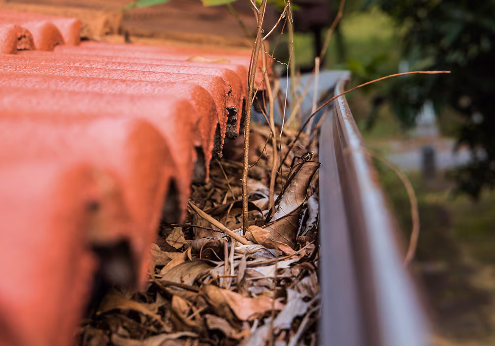 Close-up of a rain gutter clogged with dry leaves and twigs beside a red tiled roof.