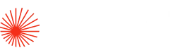 Vizooli logo with a red starburst icon